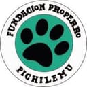 Refugio Fundación Pro Perro Pichilemu en Pichilemu, Región de O'Higgins