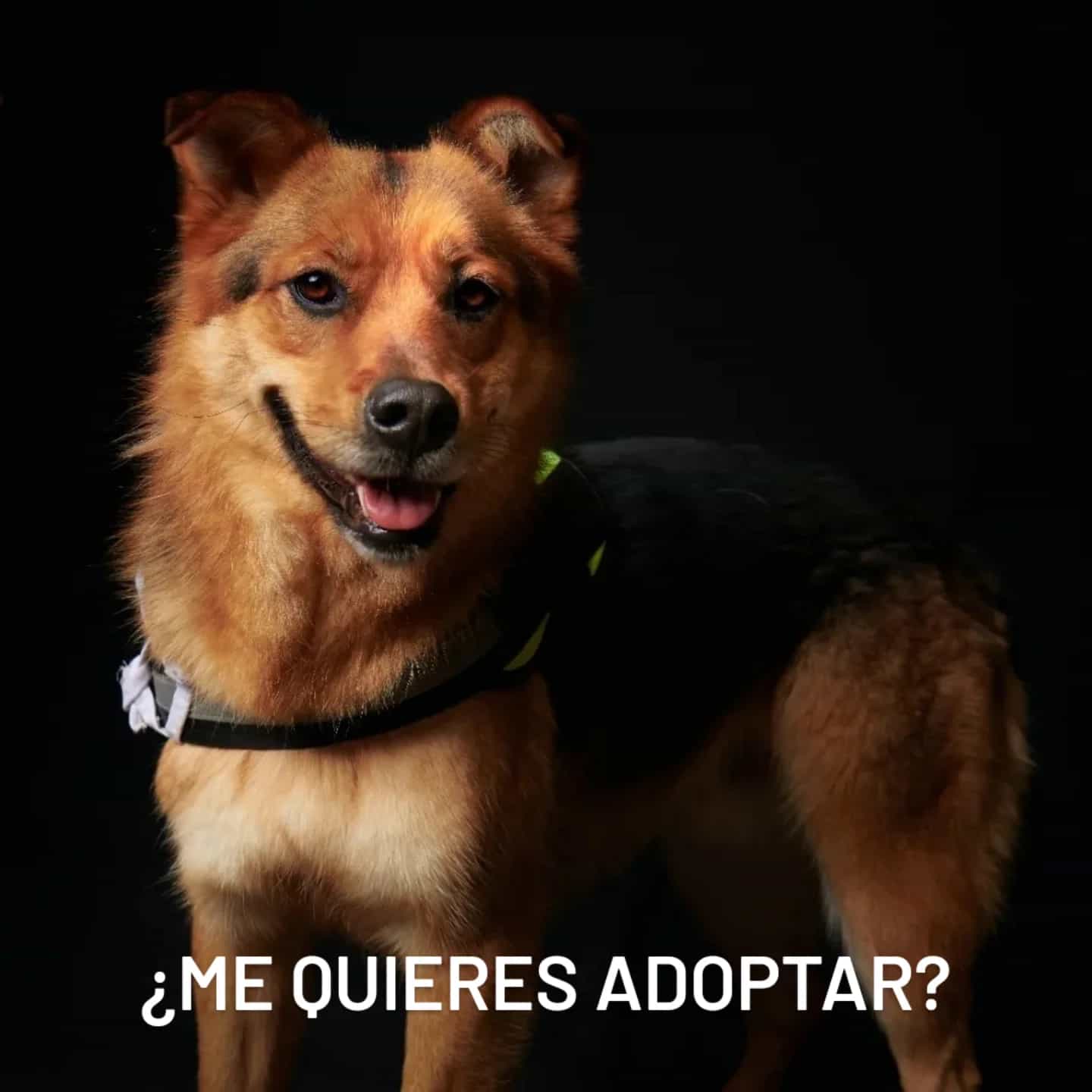 Foto de NIXXON