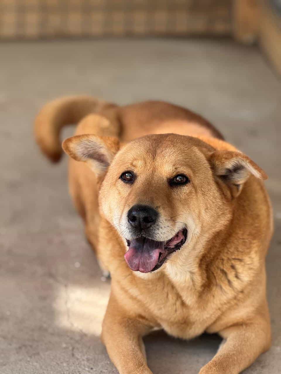 Foto de Athos