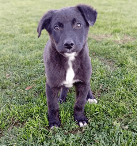 Foto de Guillermina