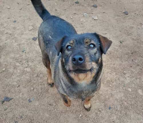 Foto de Peggy