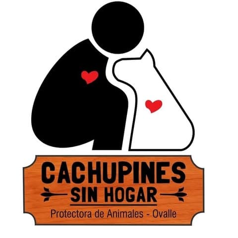 Cachupines Sin Hogar