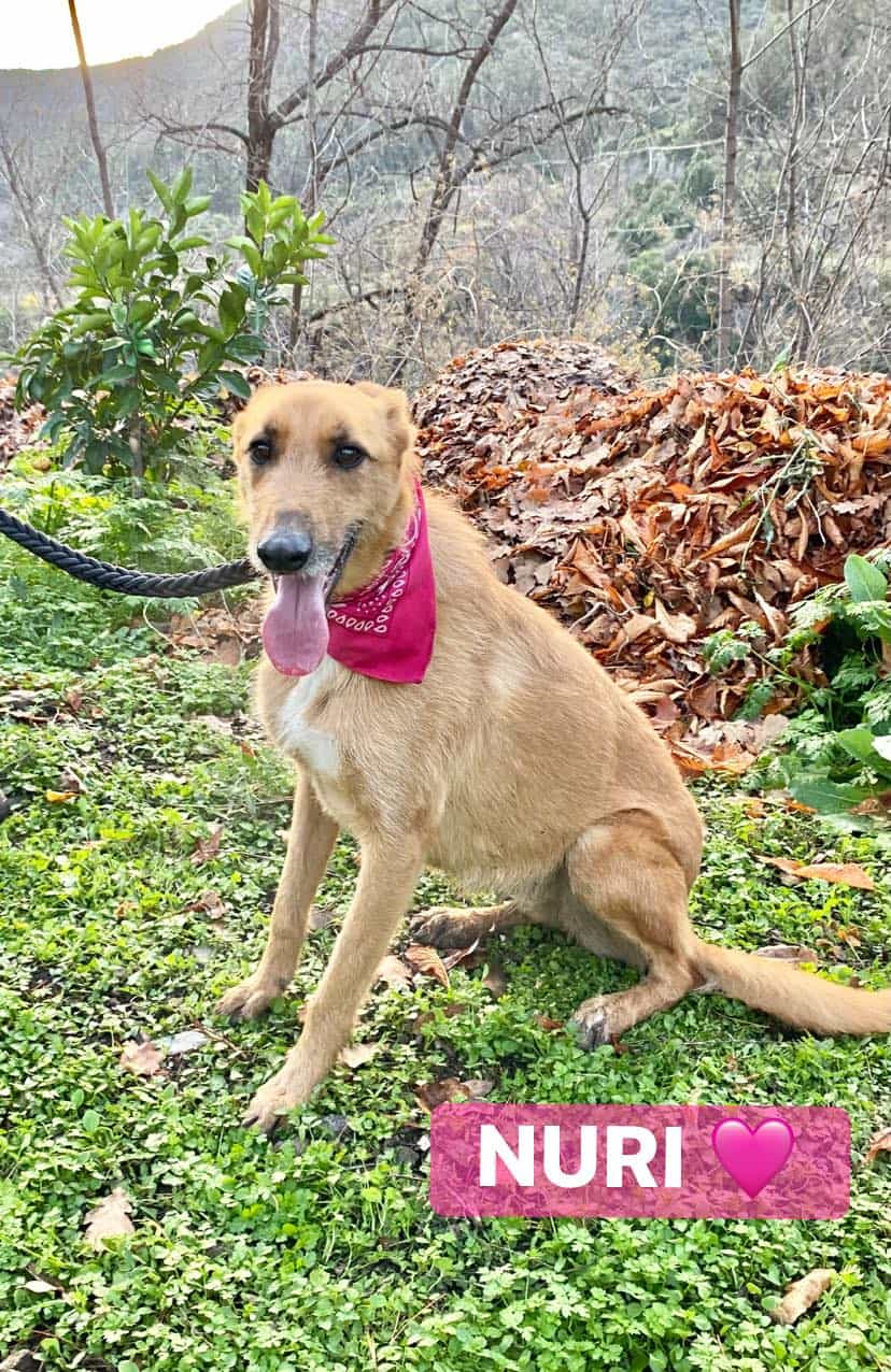 Foto de Nuri