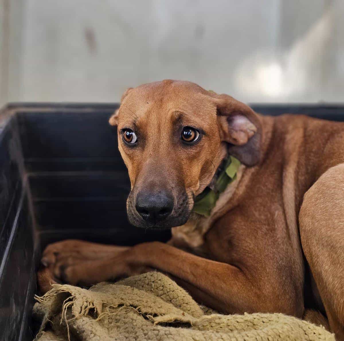 Foto de Marigen Café