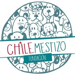 Chile Mestizo