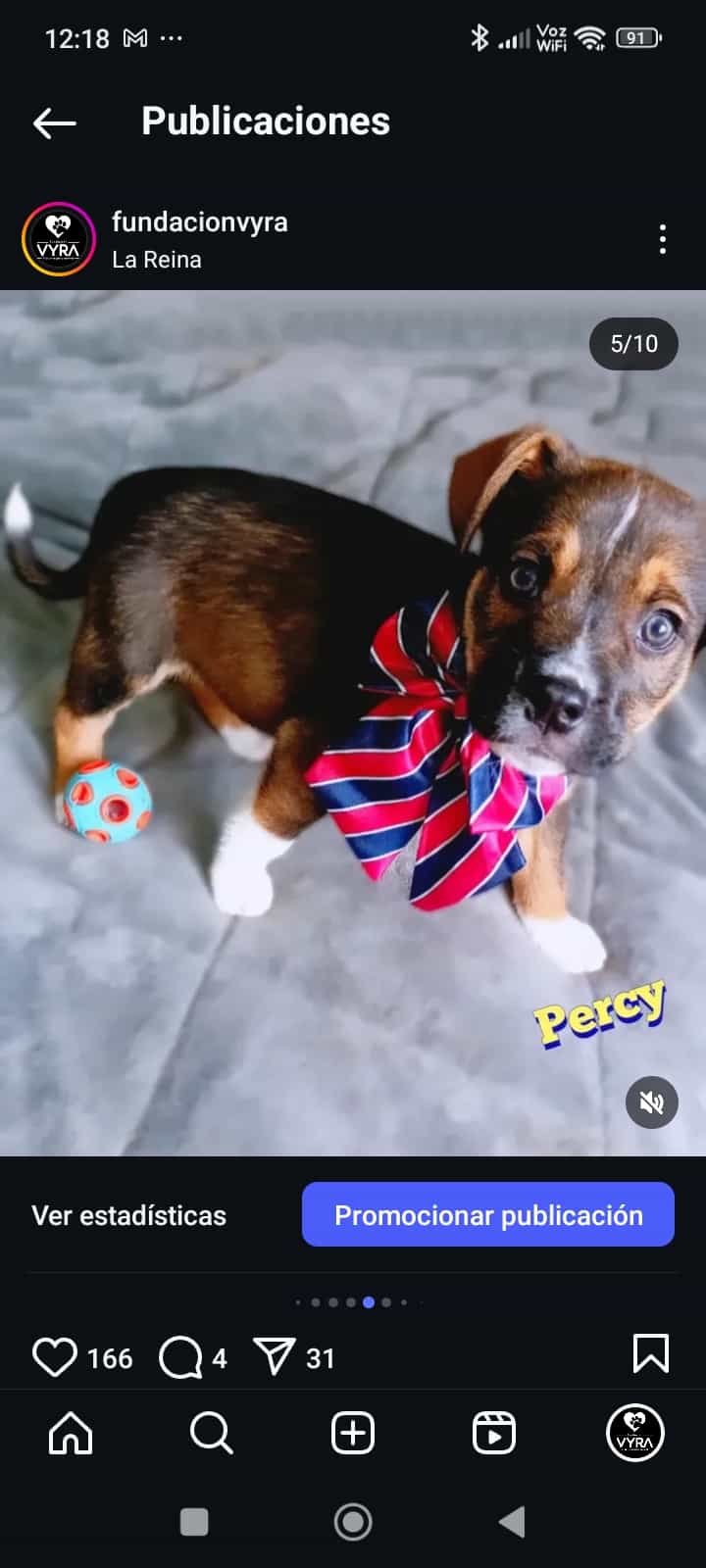 Foto de Percy