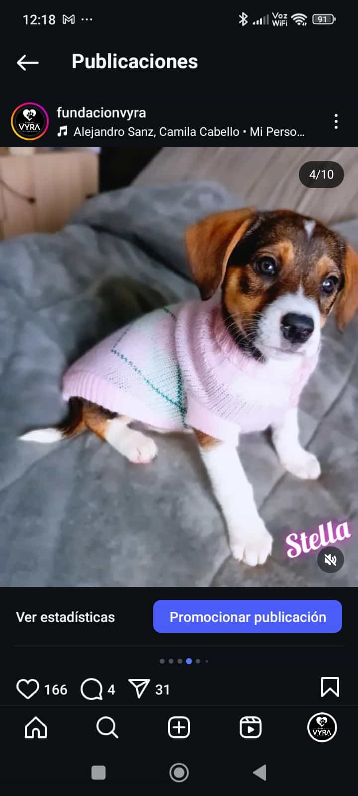 Foto de Stella