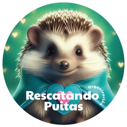 Rescatando Puitas