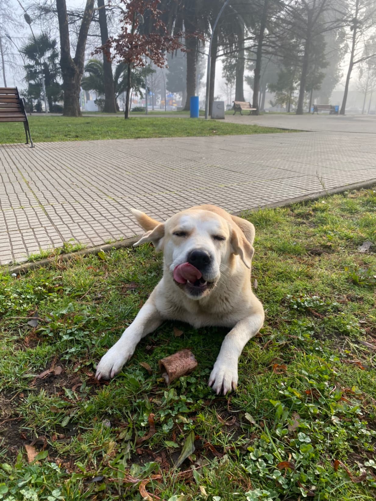 Foto 4