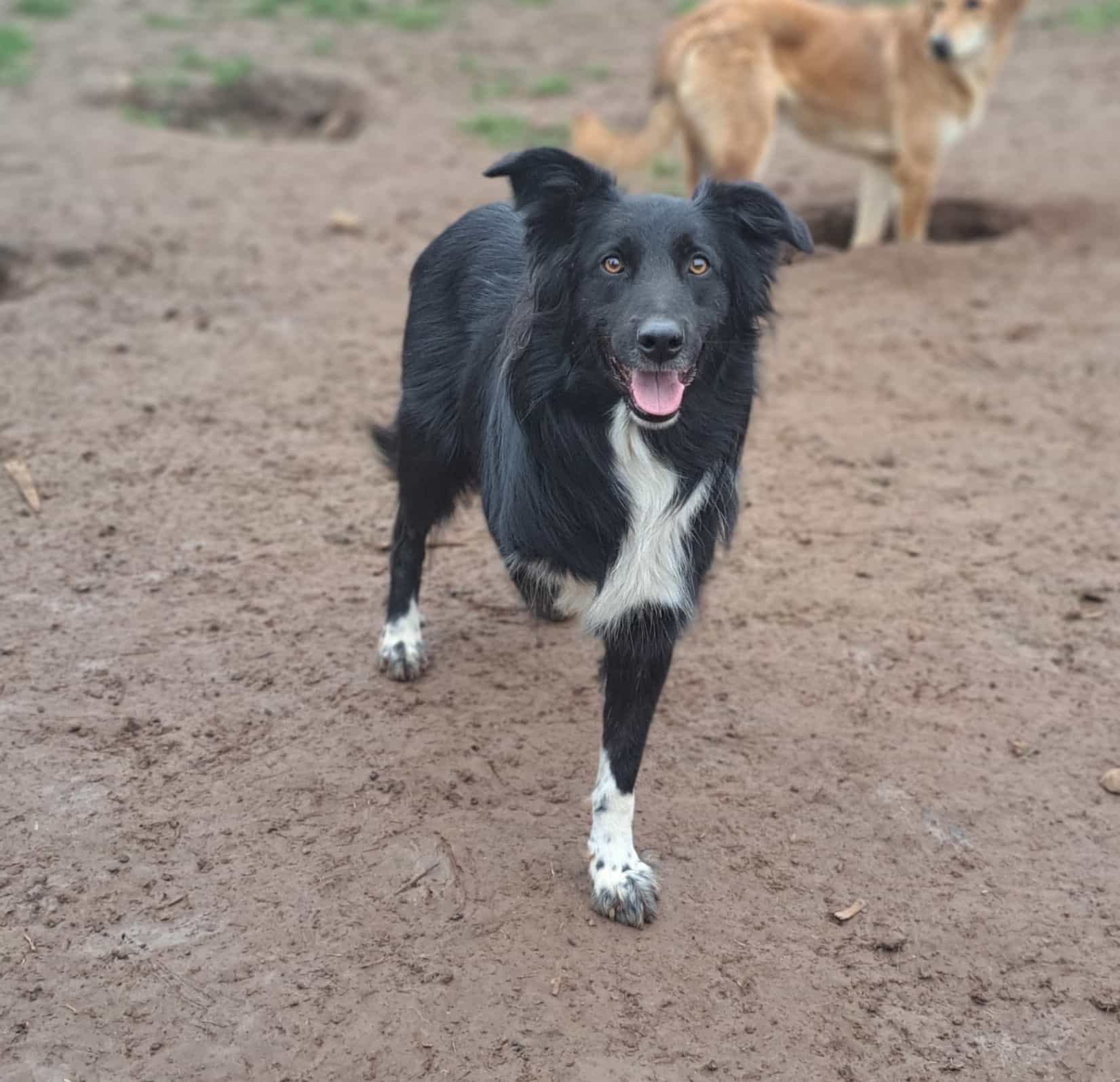 Foto de Mati