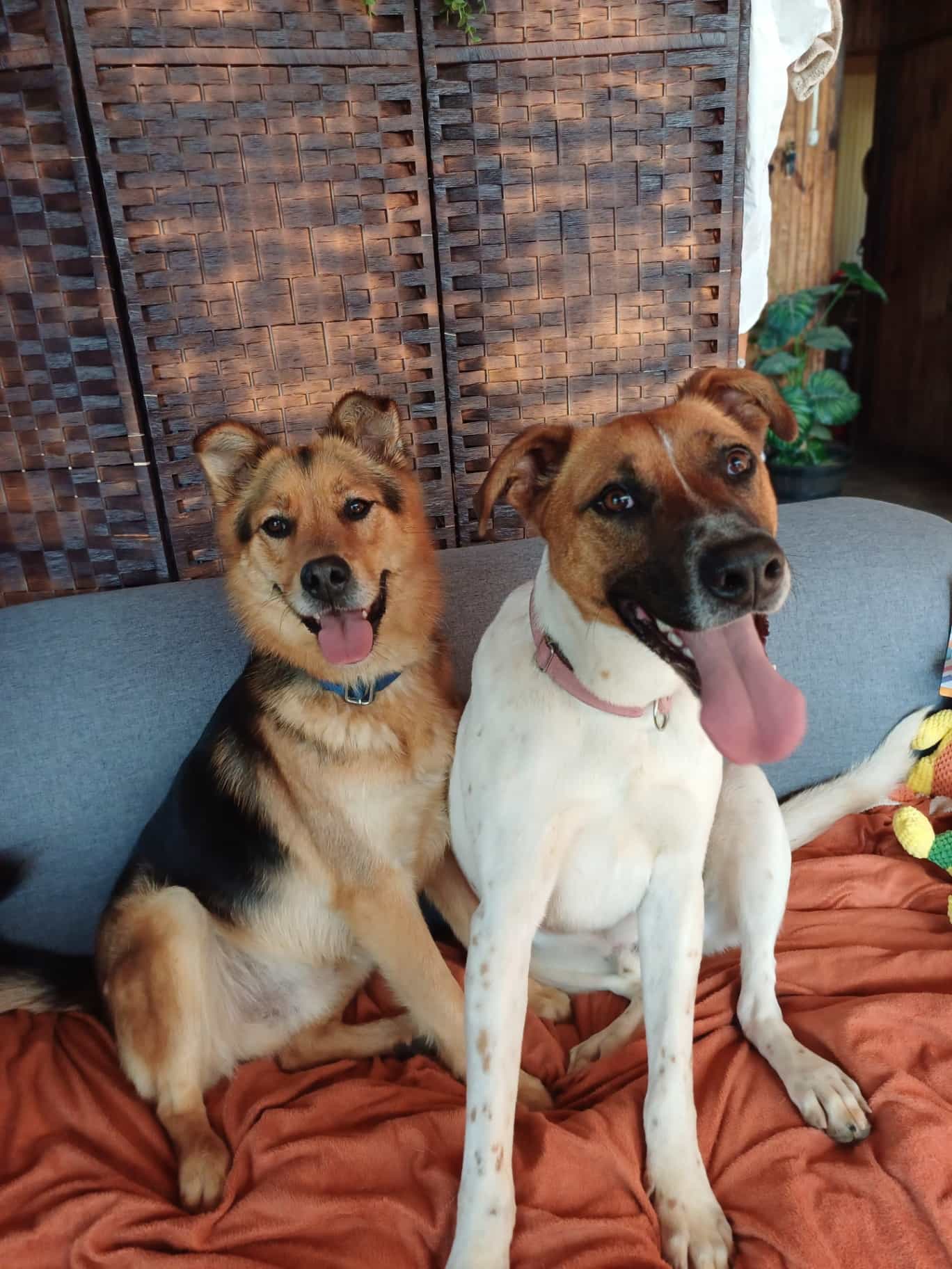 Foto de Nixxon y Locky