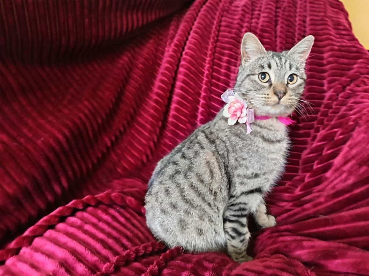 Foto de Camila