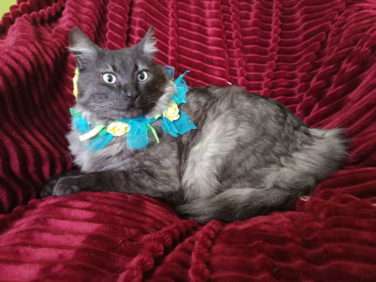Foto de Diego