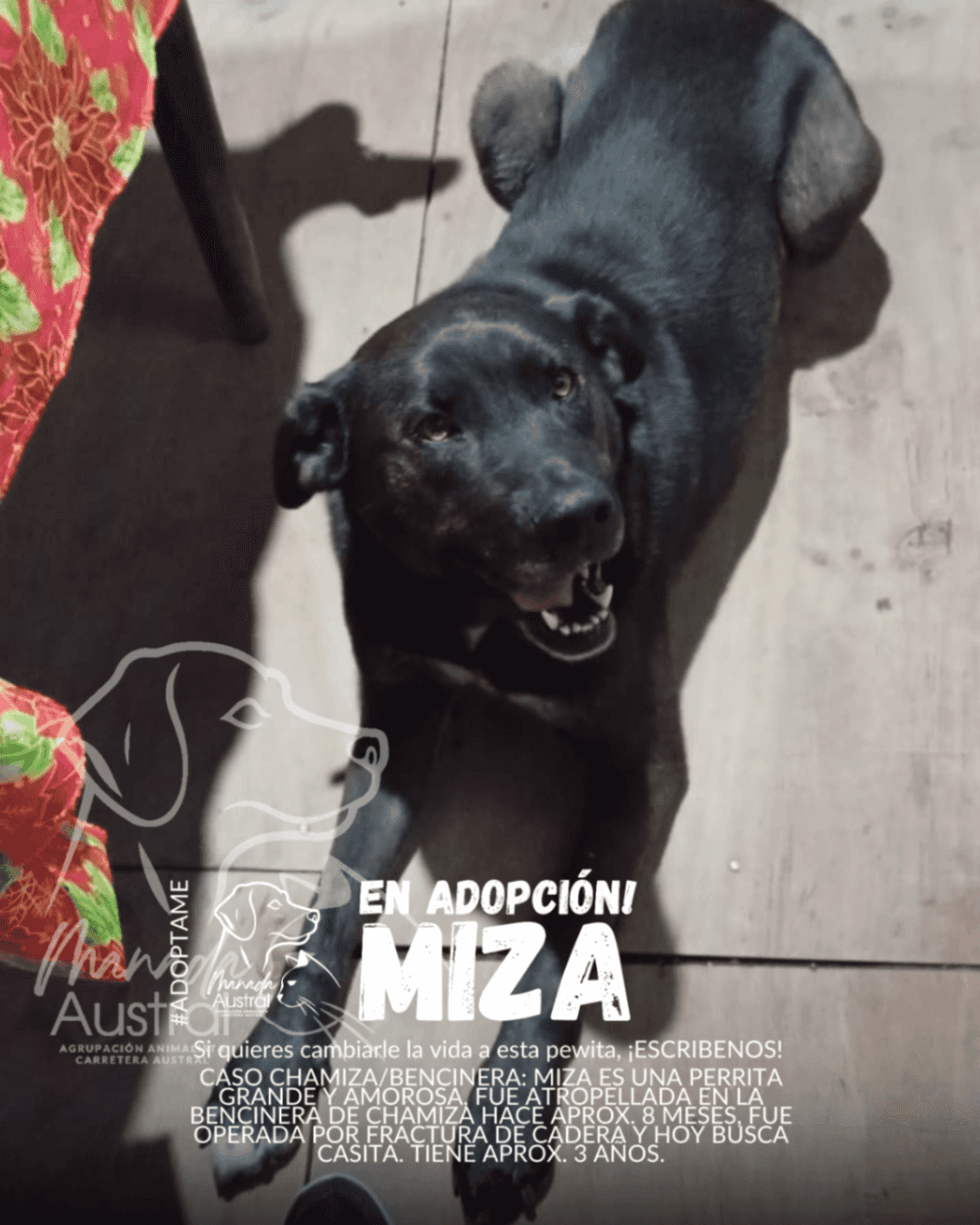 Foto de Miza