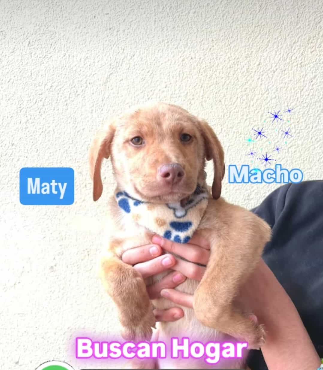 Foto de MATY