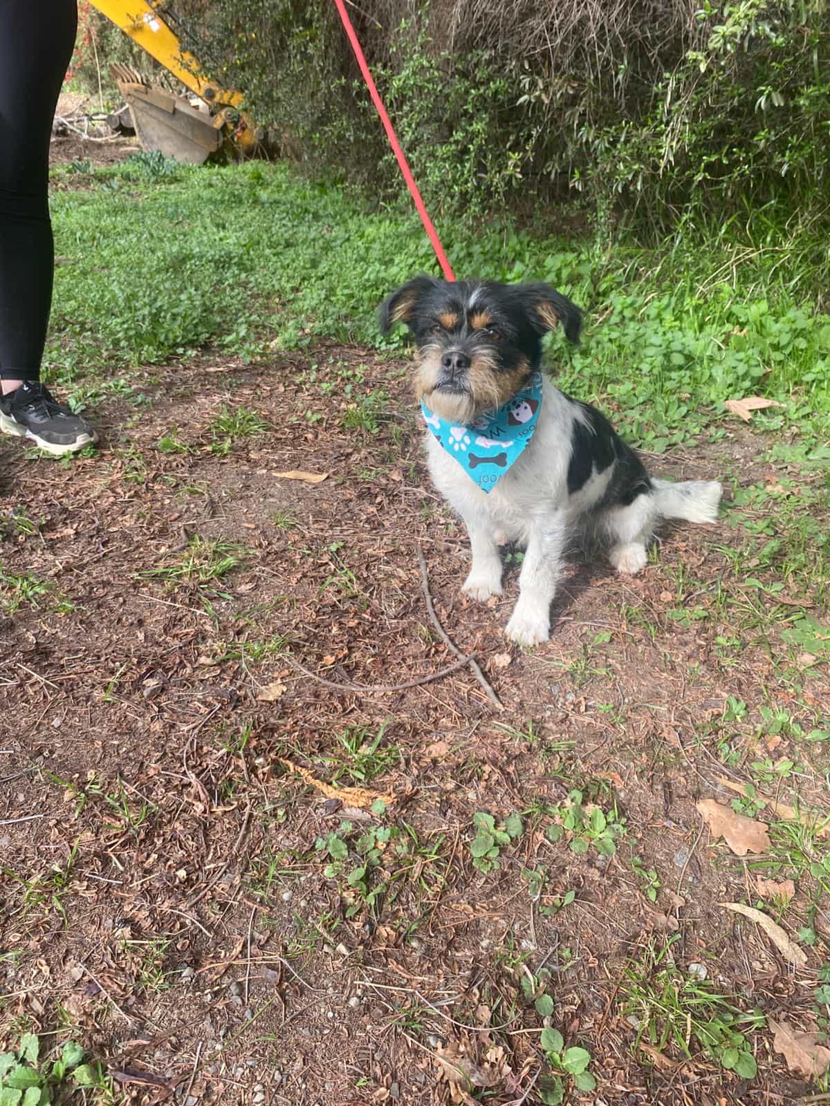 Foto de FRUNI hembra