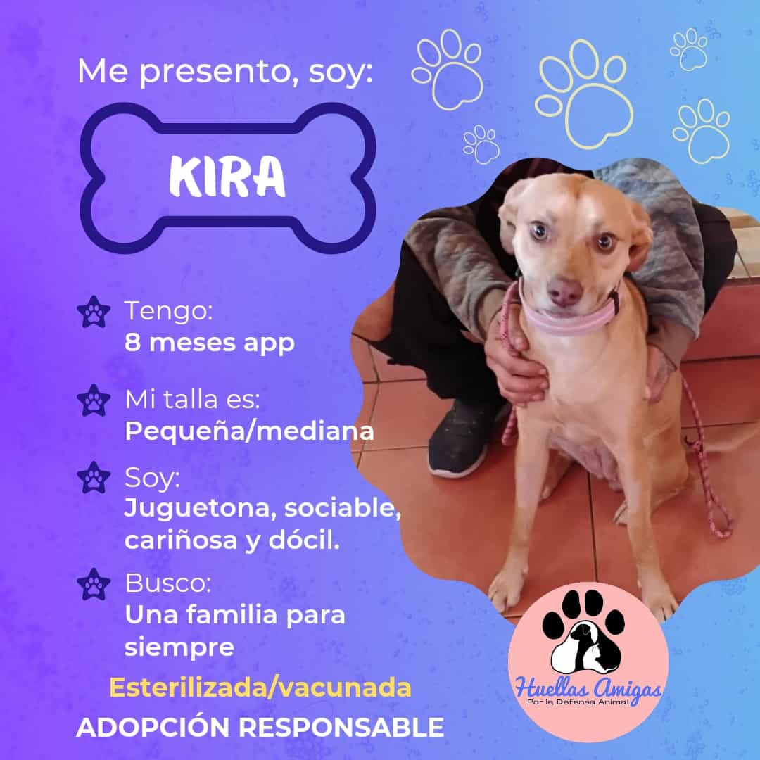 Foto de Kira