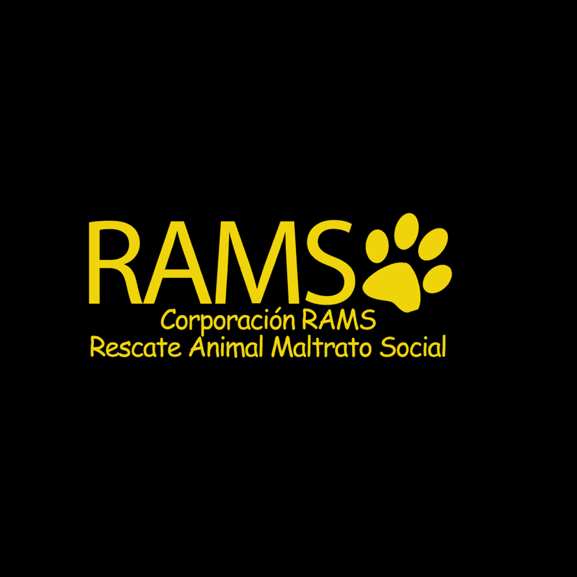 RAMS