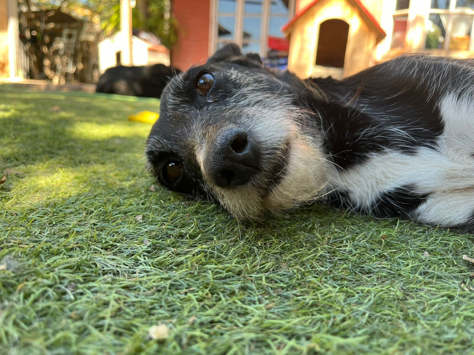 Foto 4
