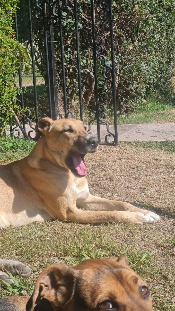 Foto 3