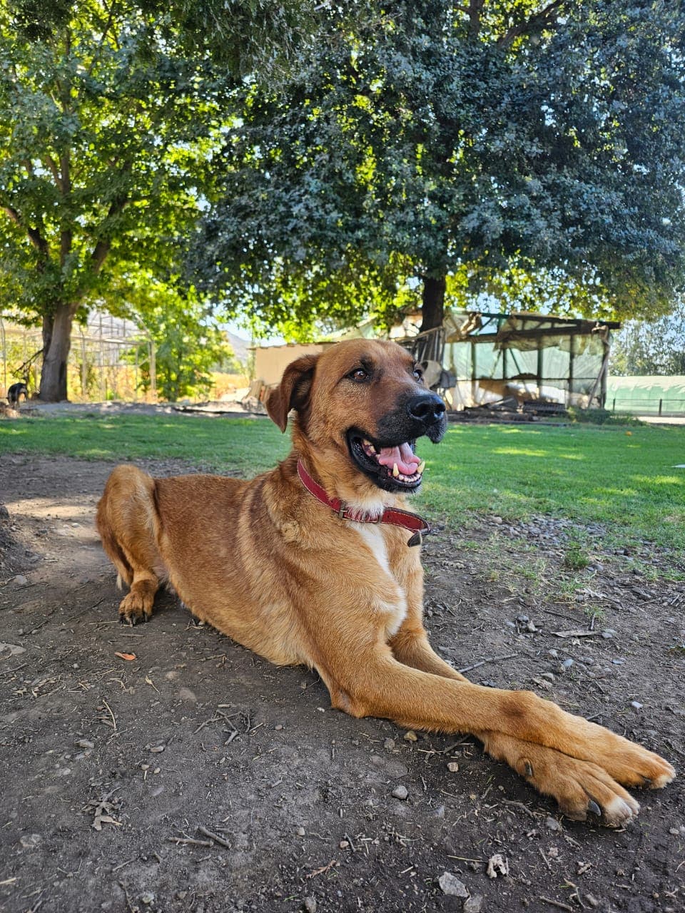 Foto 4