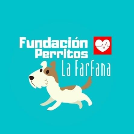 Perritos La Farfana