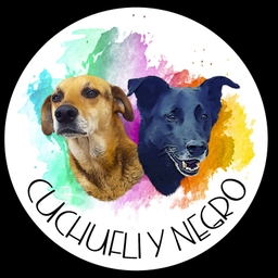 Fundación Cuchuflí y Negro