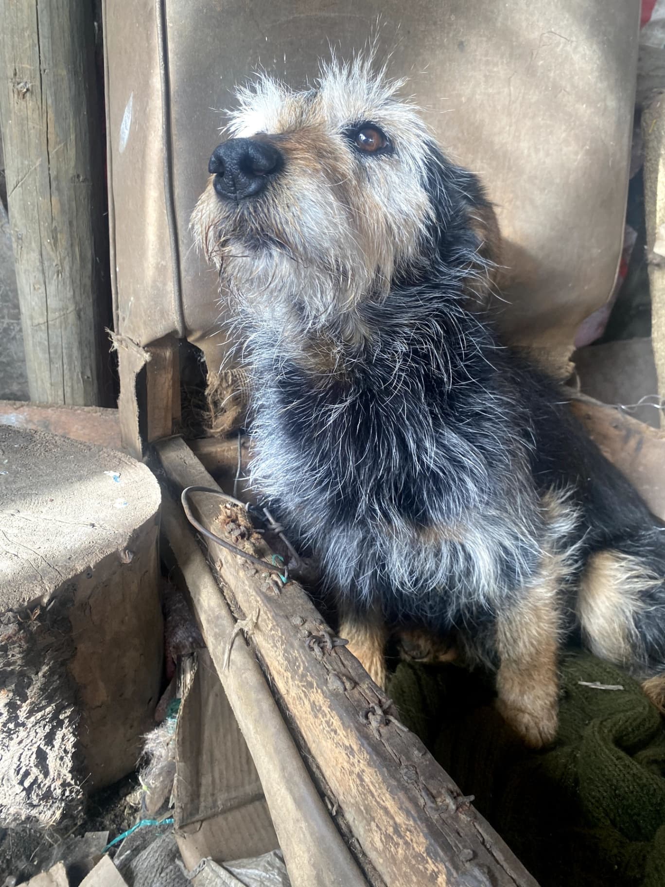Foto 4