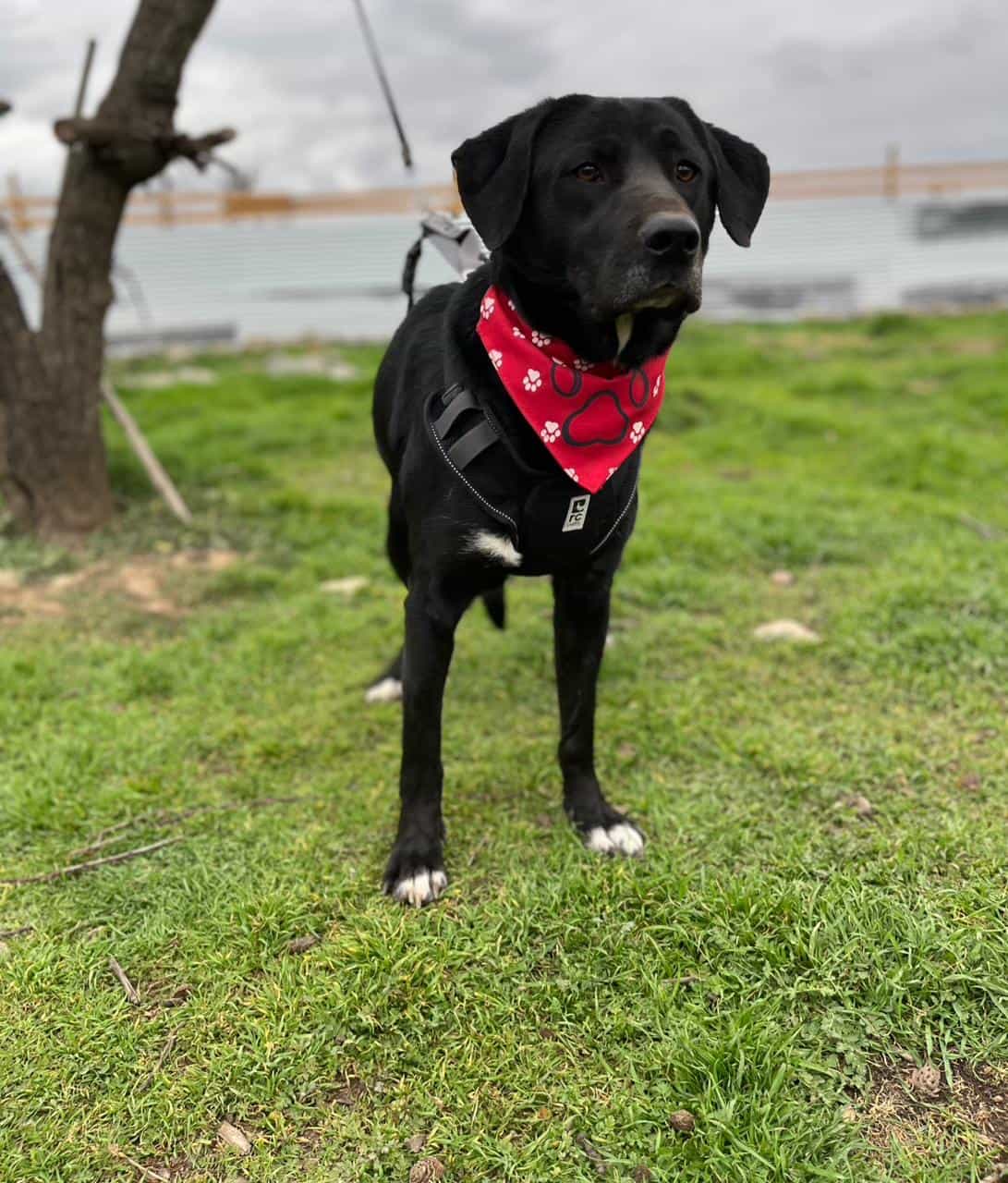 Foto de Gaspar