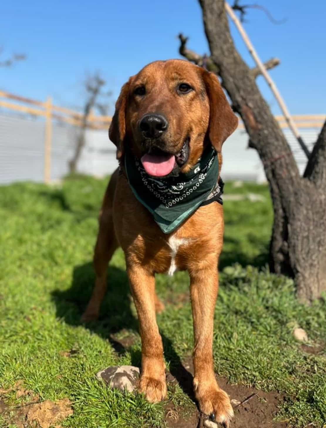 Foto de Gaspar