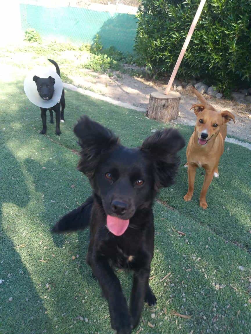 Foto de Lupita