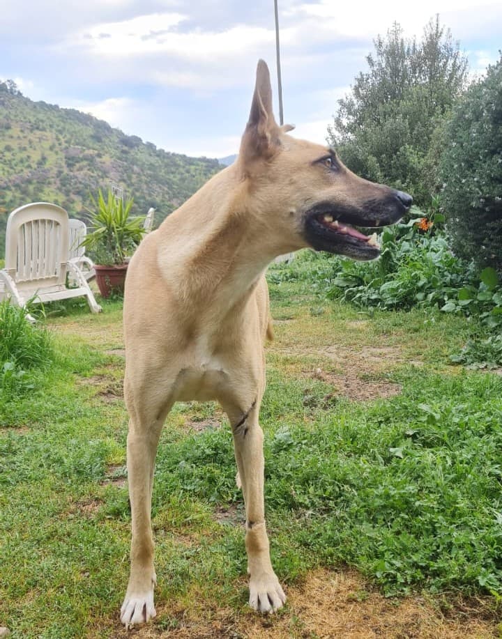 Foto 4