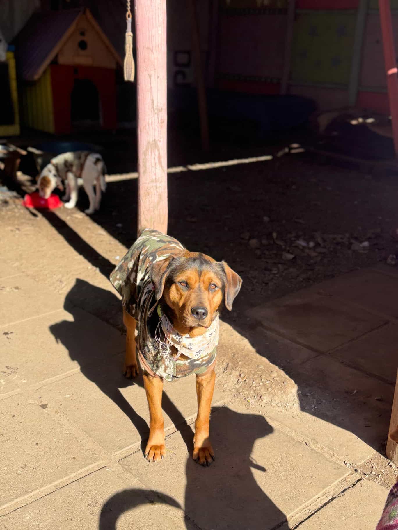 Foto de Rita