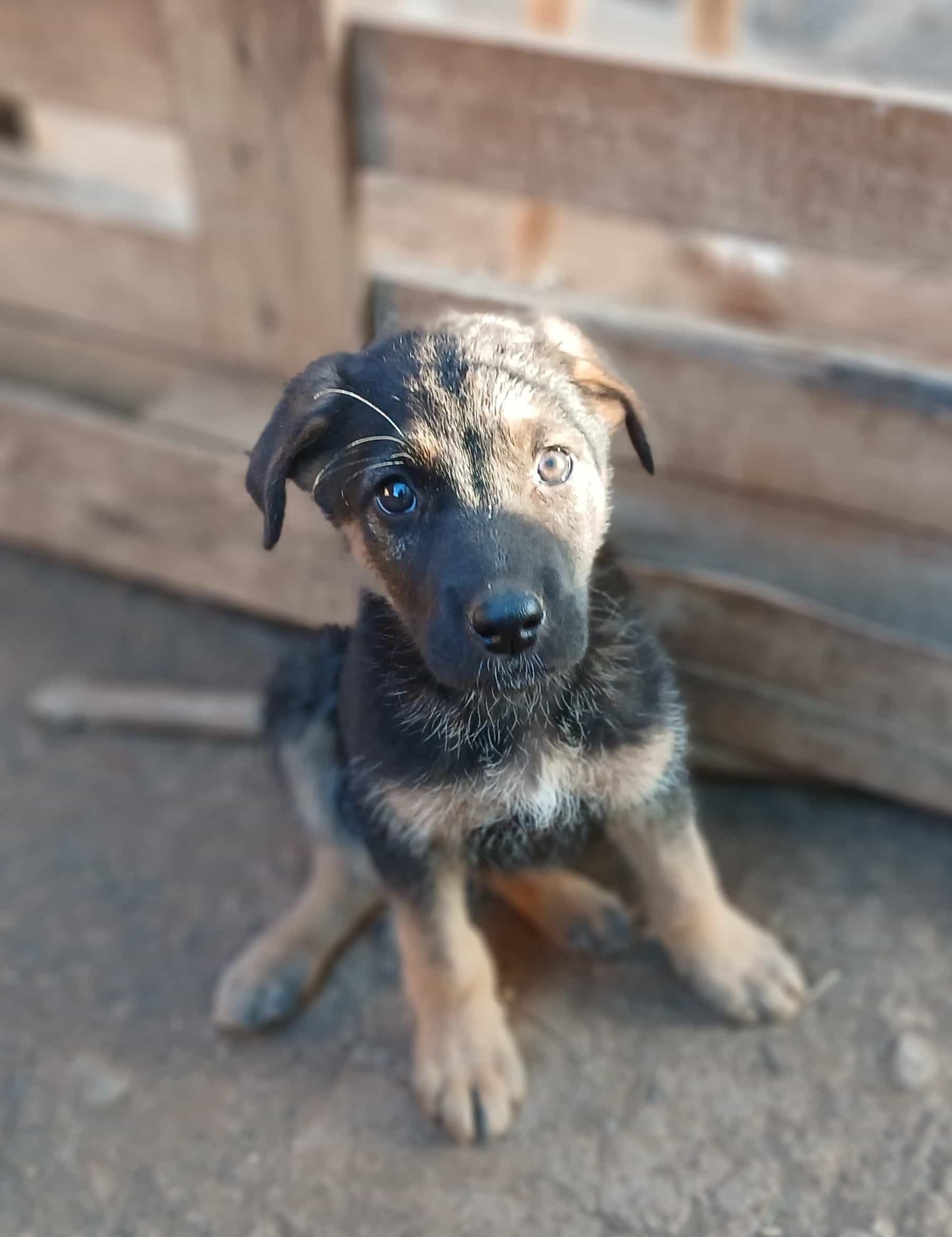 Foto de José manuel