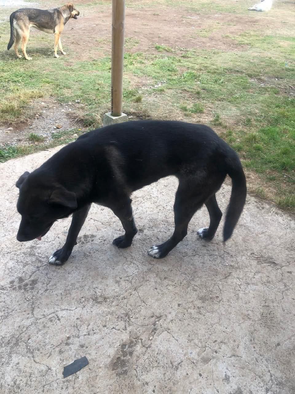 Foto 2