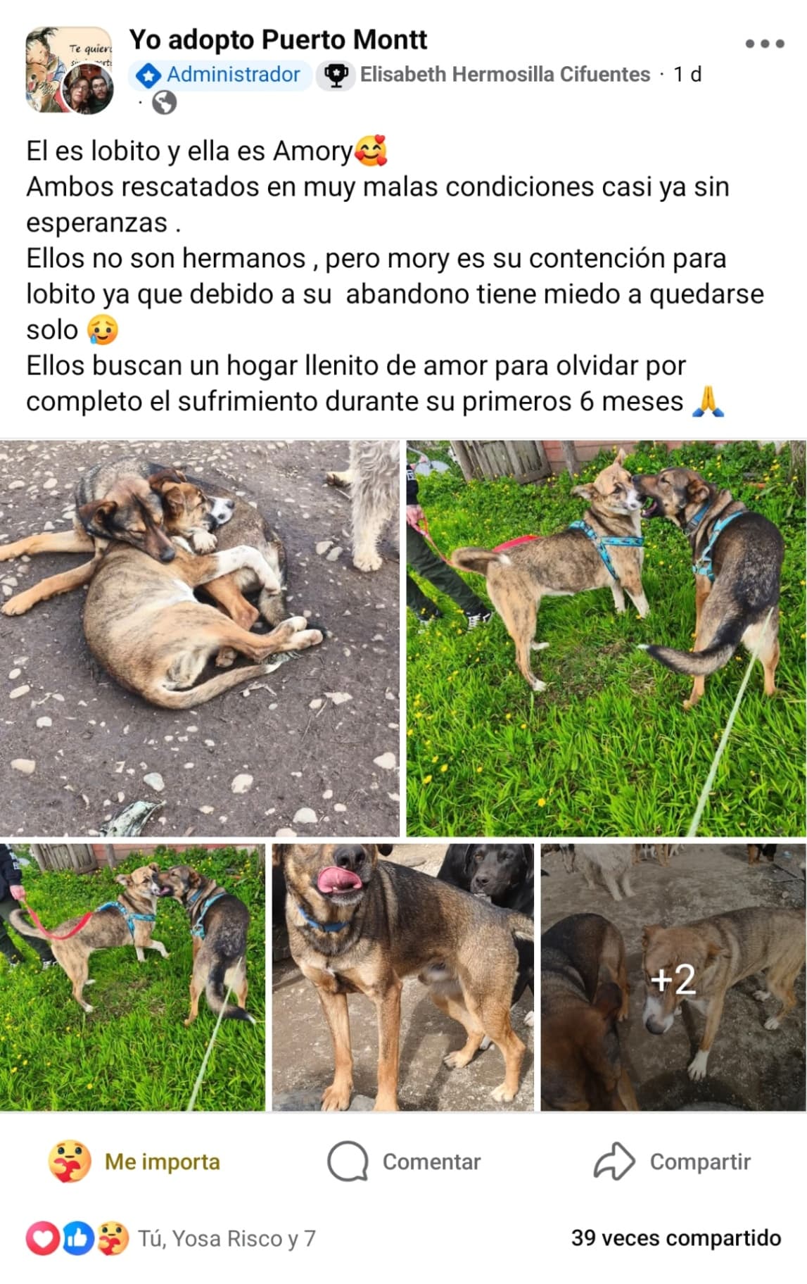 Foto 6