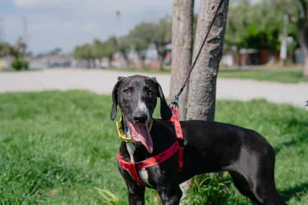 Foto de Hanna Bebe H8