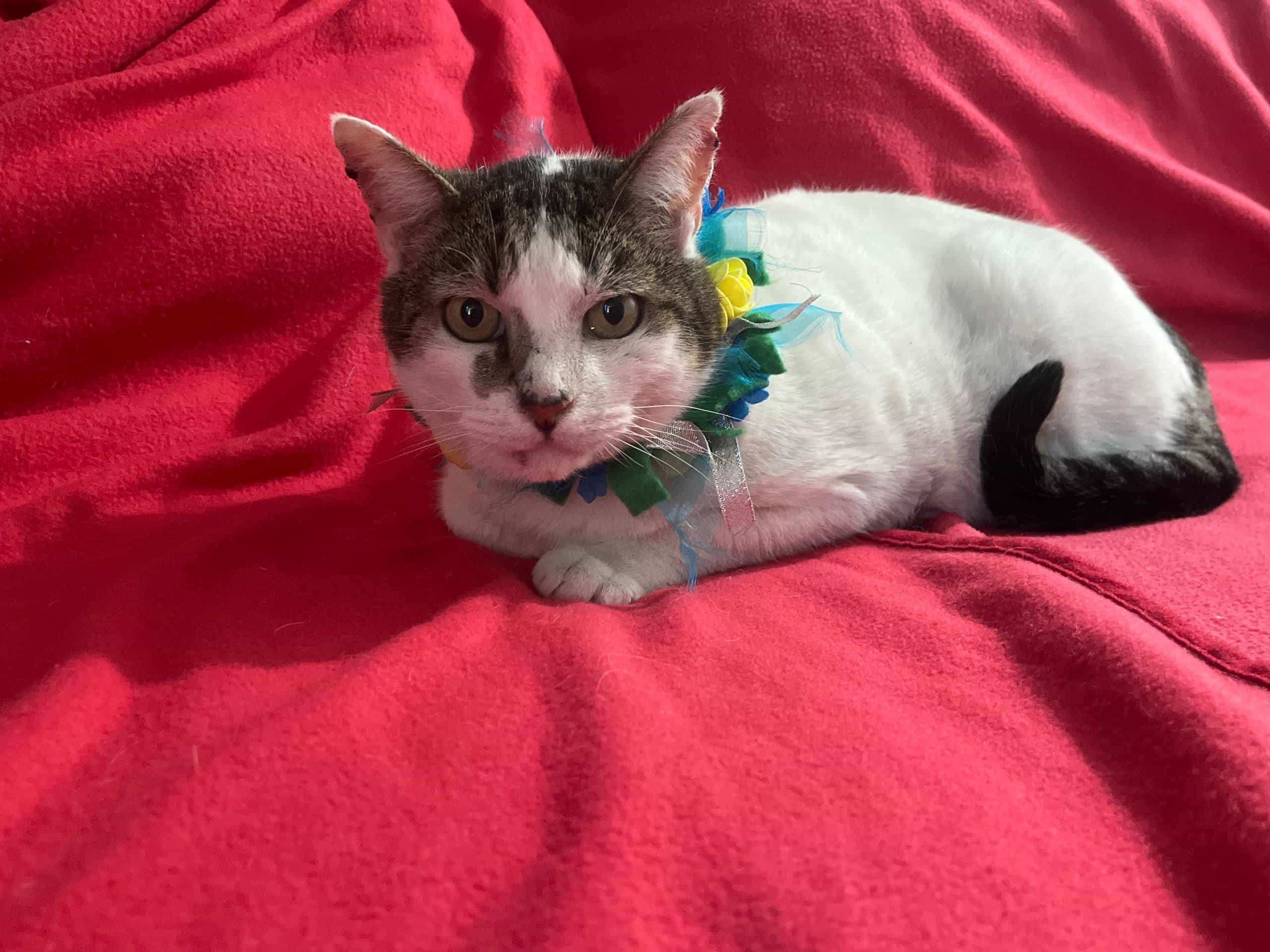 Foto de Solabarrieta