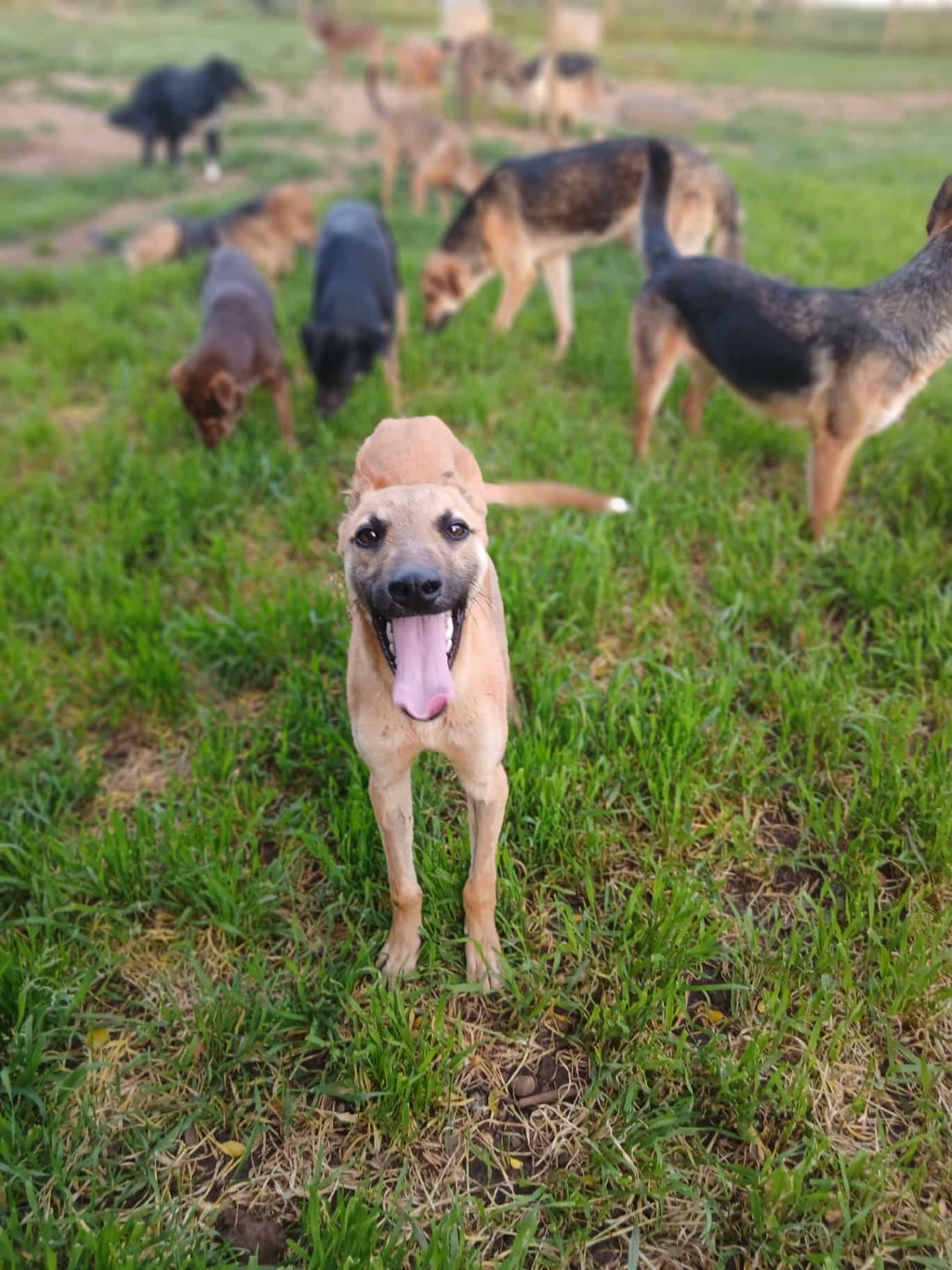 Foto de Lucas nicolás