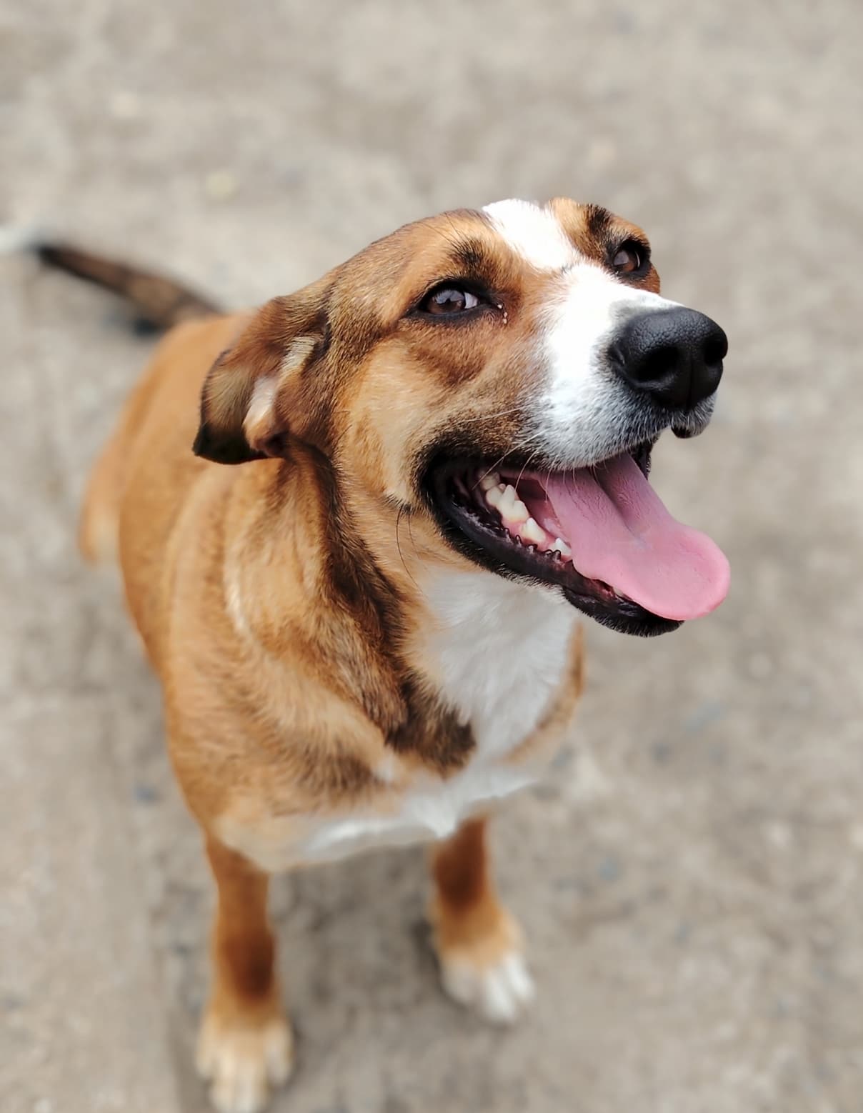 Foto 1
