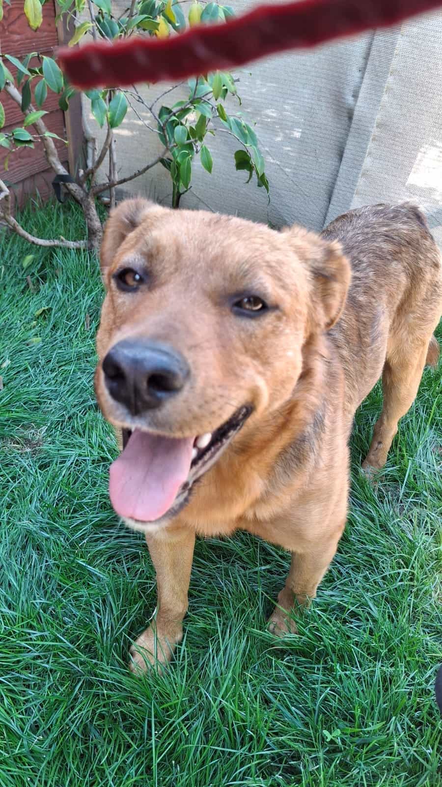 Foto de Balú