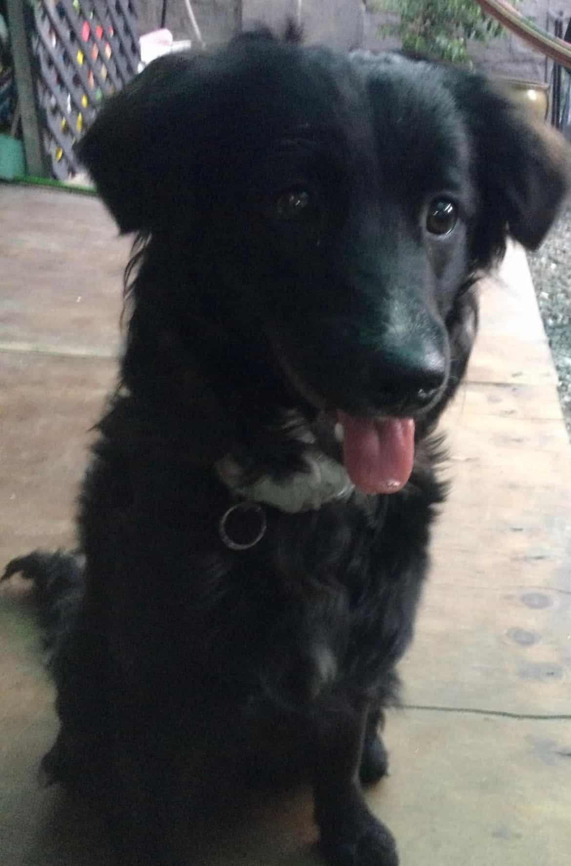 Foto de Akira