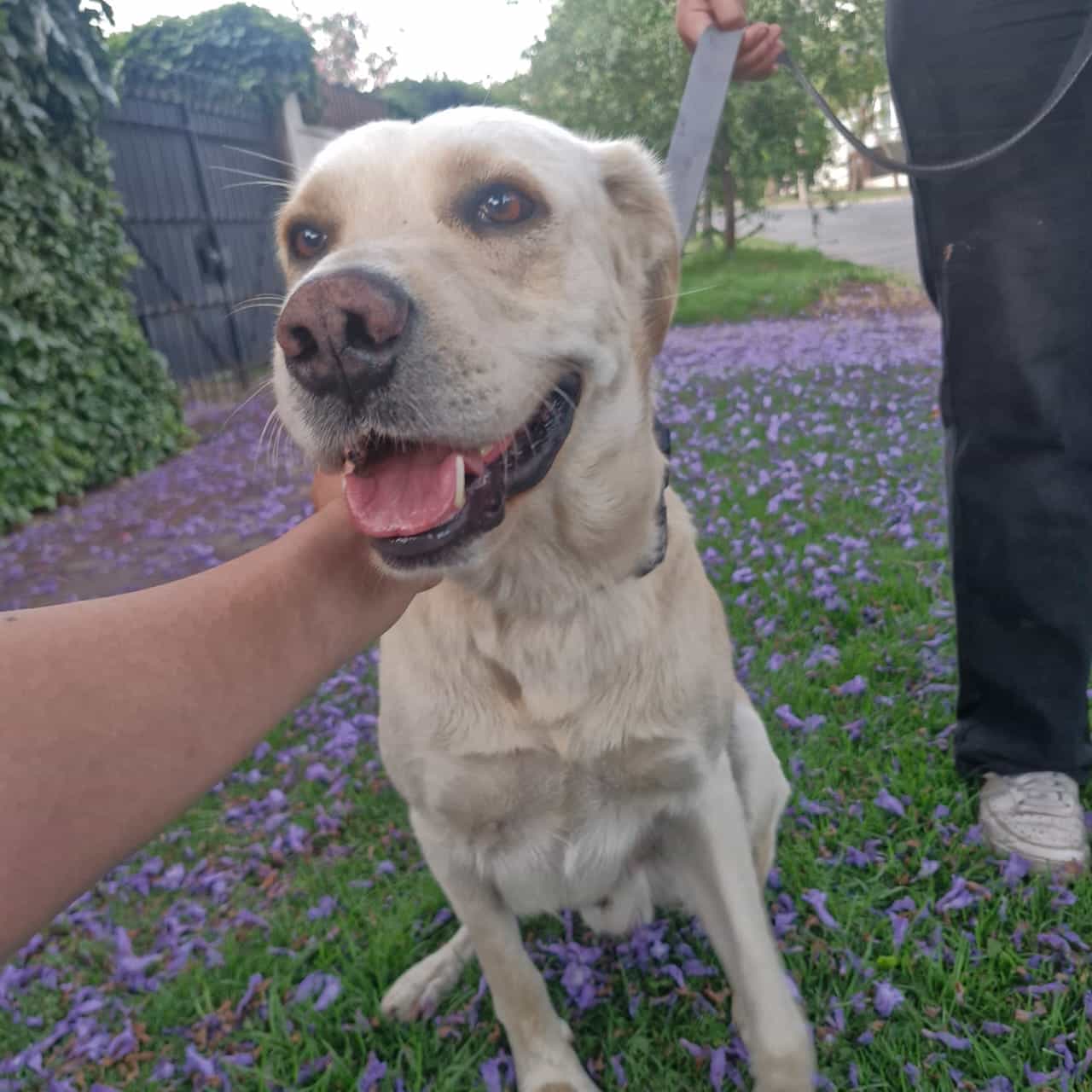 Foto de Martín