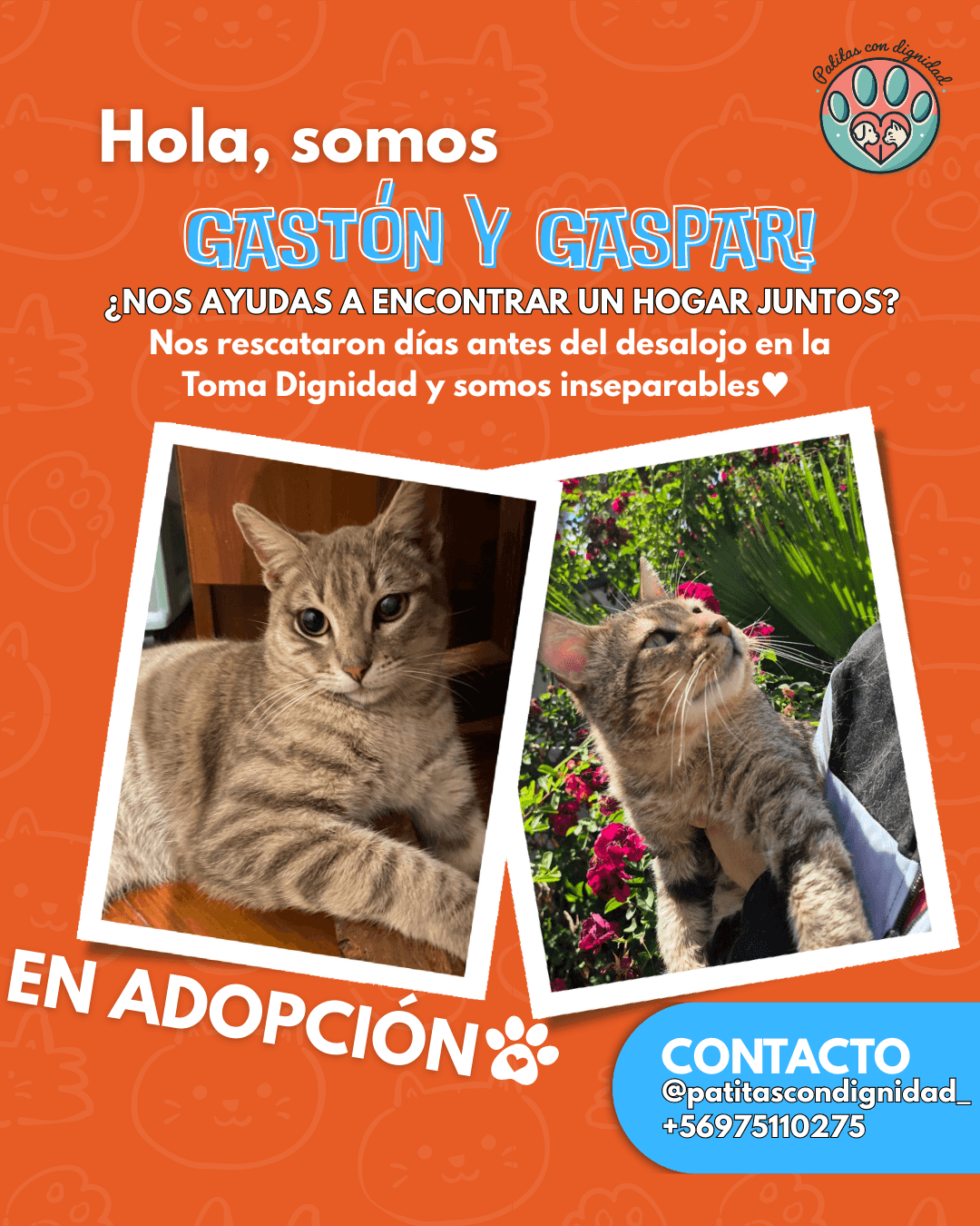 Foto de Gastón y Gaspar