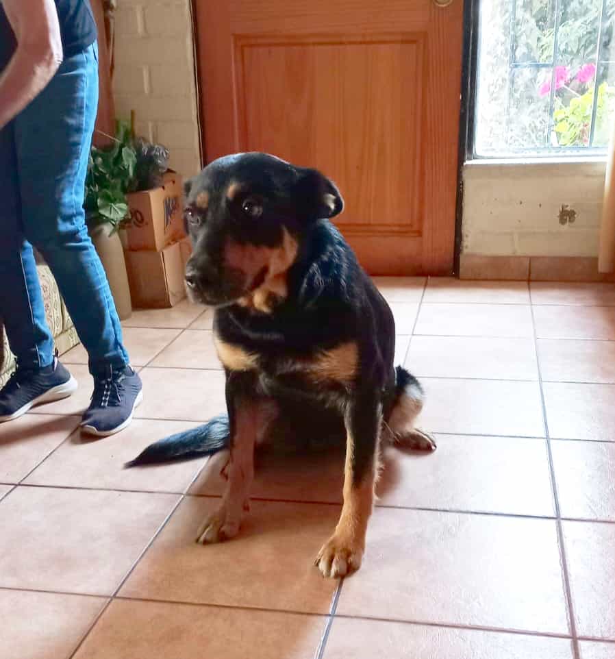 Foto de Perla Ciruela