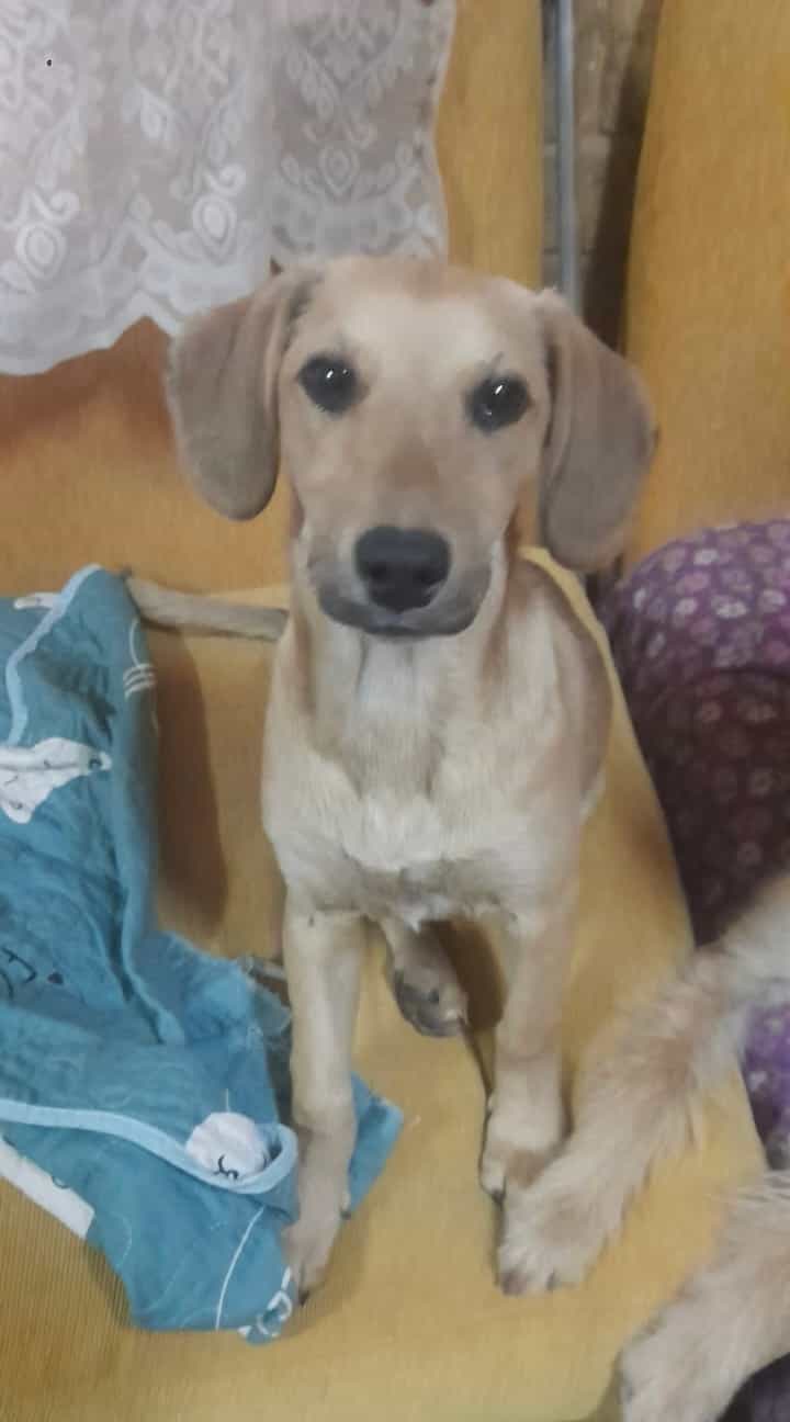 Foto de Capitán
