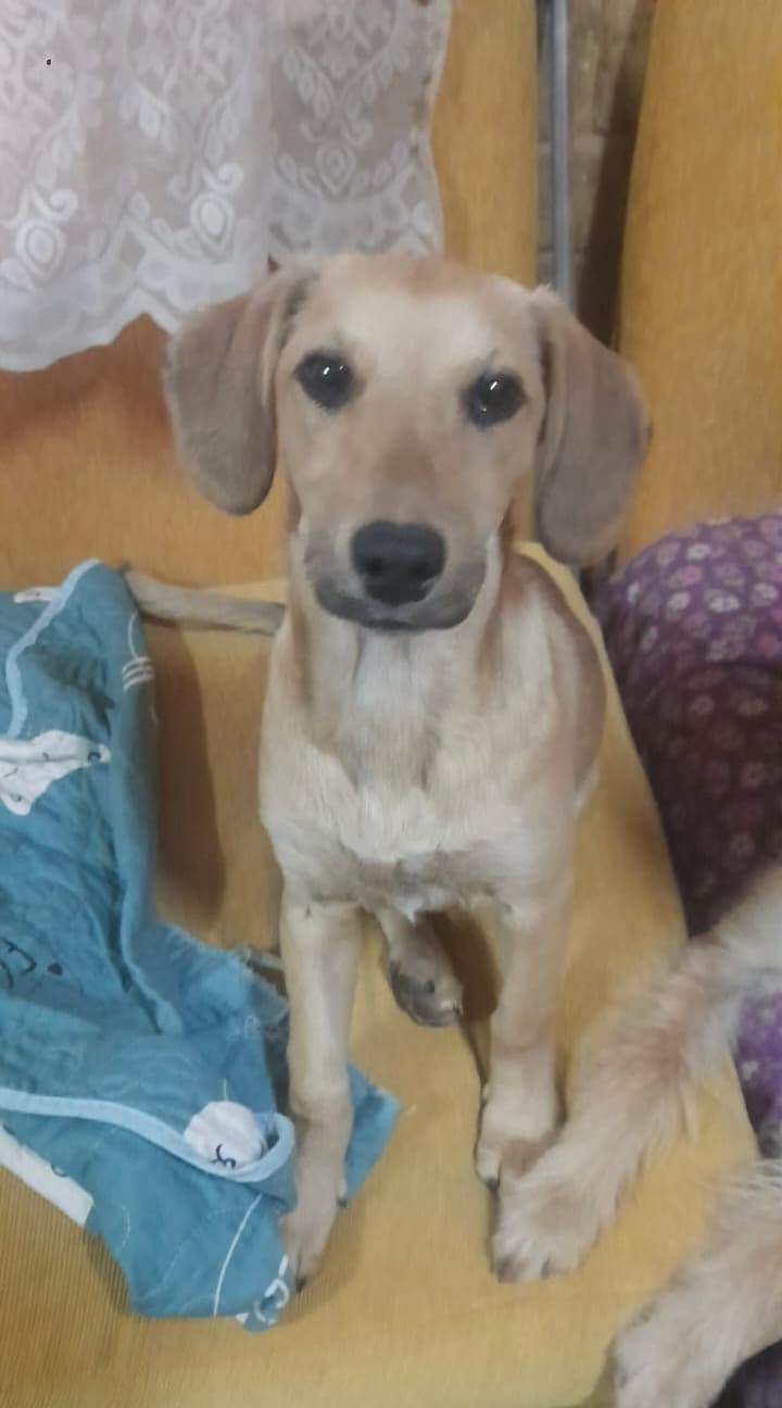 Foto 1