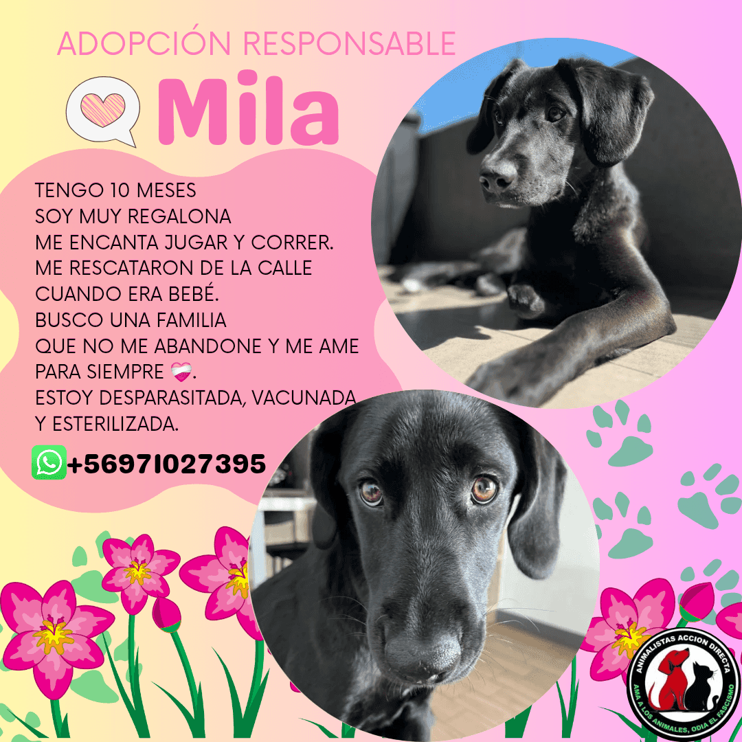 Foto de Mila 💝