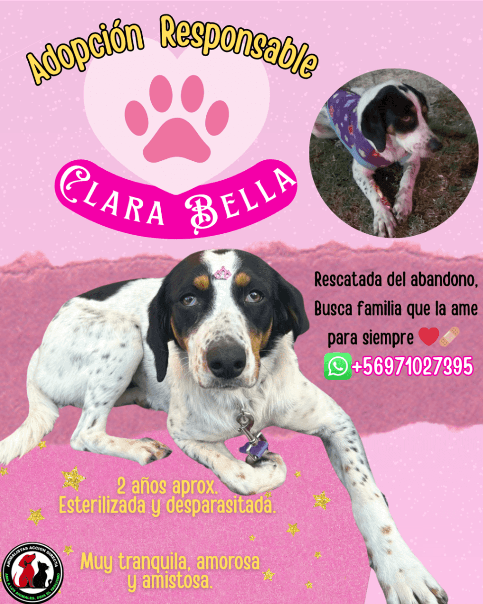 Foto de Clara Bella 💗