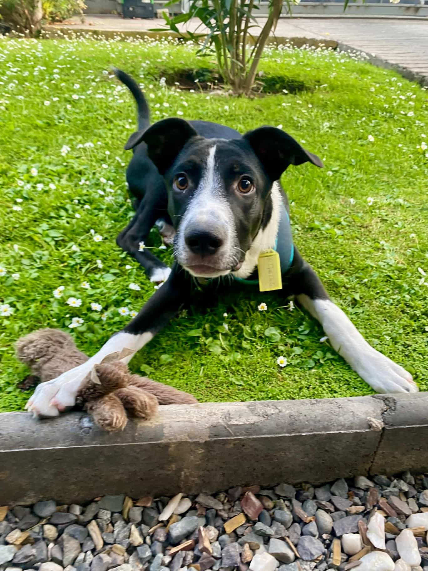 Foto de JUANITO BOTITAS